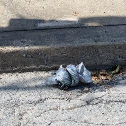 Mount Joy Roofing - Same Saturday, trash in the Street.