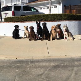 Malcolm on a pack walk Malcolm on a pack walk