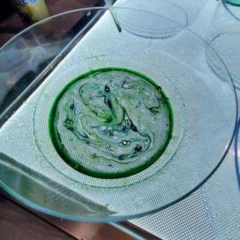 Local Color - Tech at Nite: Love Lab (Light and fluid art) - Art Galleries Near Me - San Jose, California