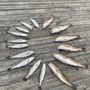 Photo of Steel salty charters