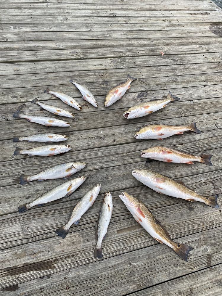 Steel salty charters Logo