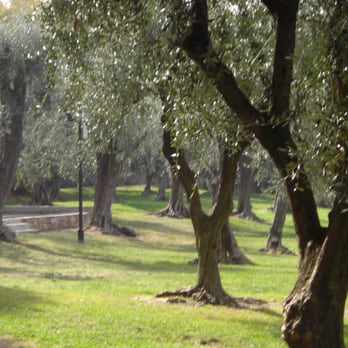 Cimiez Boulevard - Jardin Cimiez - Real Estate Near Me - Nice, 06