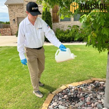 Palisade Pest Control - In addition to General Pest Control, ask about our flea, tick and mosquito plans to further protect your property from unwanted invaders. - Pest Control Near Me - Bentonville, Arkansas Palisade Pest Control - In addition to General Pest Control, ask about our flea, tick and mosquito plans to further protect your property from unwanted invaders. - Pest Control Near Me - Bentonville, Arkansas