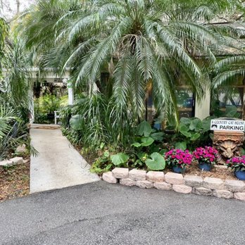 A Country Cat House - The cat boarding house - Pet Sitting Near Me - Riverview, Florida A Country Cat House - The cat boarding house - Pet Sitting Near Me - Riverview, Florida