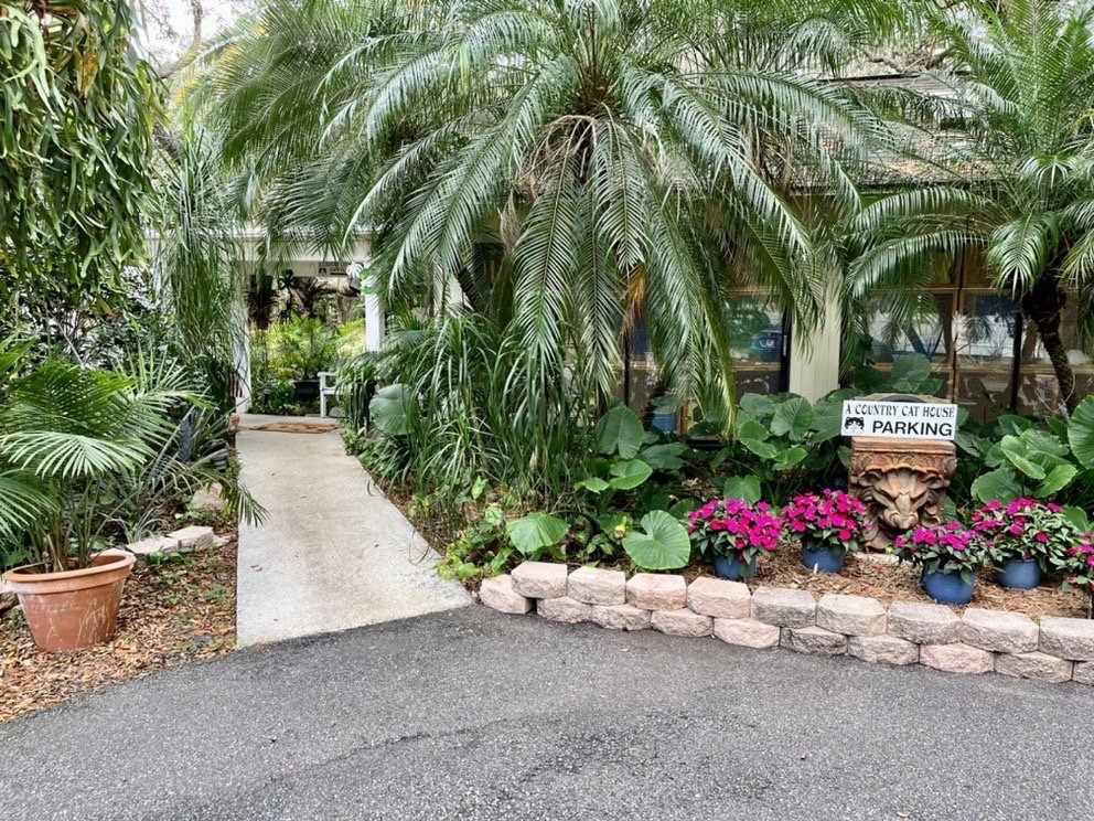 A Country Cat House - pet boarding facility in Riverview, FL