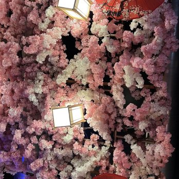 Hamono Sushi - Inside ceiling - Japanese Near Me - Portland, Oregon