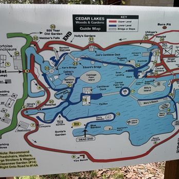 Cedar Lakes Woods and Gardens - Lower (blue) trail has steps to quarry. Red may be without steps only inclines. 1-2 hours around. - Botanical Gardens Near Me - Williston, Florida Cedar Lakes Woods and Gardens - Lower (blue) trail has steps to quarry. Red may be without steps only inclines. 1-2 hours around. - Botanical Gardens Near Me - Williston, Florida