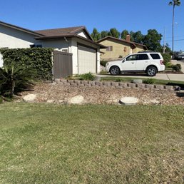 After shot of the palms removed