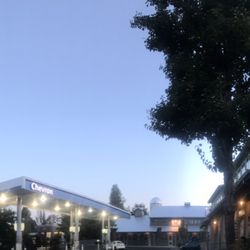 Chevron