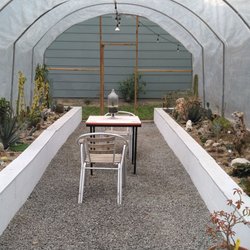 Old School Produce - Botanical Cactus greenhouse