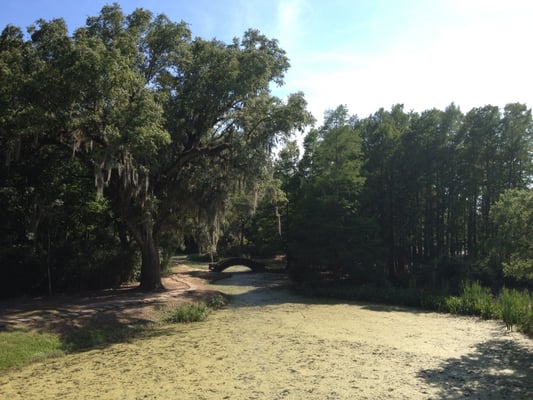 TABASCO Country Store by null