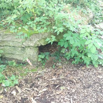 Hill 60 - Landmarks & Historical Buildings Near Me - Zillebeke, VWV