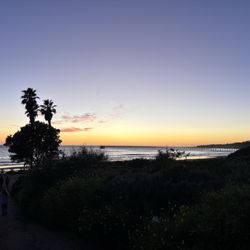 Haskell's Beach - Haskell's.