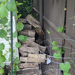 XFINITY - Knocked over my firewood and didn't restack it