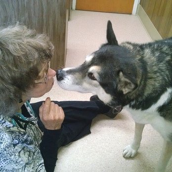 Chabot Veterinary Clinic - Darth Kisses Dr. Hughes after a checkup and shots. He knew she took really great care of him until the very end - Veterinarians Near Me - Hayward, California