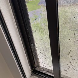 Mold and dust