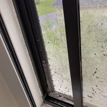 Hampton Inn Birch Run/Frankenmuth - Mold and dust - Hotels Near Me - Birch Run, Michigan