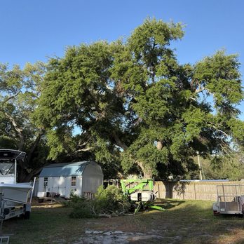 DeForest Tree and Property Maintenance - Landscaping Near Me DeForest Tree and Property Maintenance - Landscaping Near Me