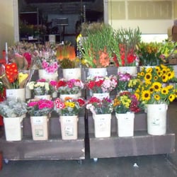 Coleman Flowers
