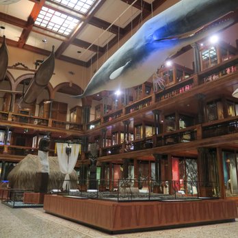 Bishop Museum - Museums Near Me - Honolulu, Hawaii