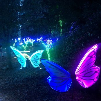 Turtle Bay Museum Store & Coffee Bar - Illuminated butterflies! - Coffee & Tea Near Me - Redding, California Turtle Bay Museum Store & Coffee Bar - Illuminated butterflies! - Coffee & Tea Near Me - Redding, California