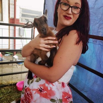 Whelping Hands - Pet Stores Near Me - Las Cruces, New Mexico Whelping Hands - Pet Stores Near Me - Las Cruces, New Mexico
