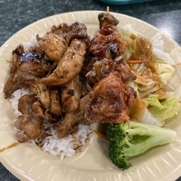 Chicken Teriyaki & Chicken Yakitori Chicken Teriyaki & Chicken Yakitori
