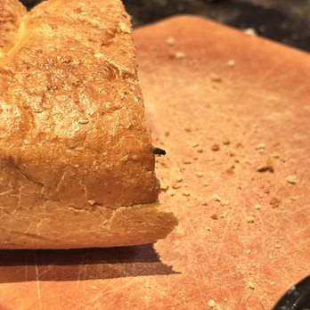 LongHorn Steakhouse - Fruit fly on the bread. - Steakhouses Near Me - Daytona Beach, Florida LongHorn Steakhouse - Fruit fly on the bread. - Steakhouses Near Me - Daytona Beach, Florida