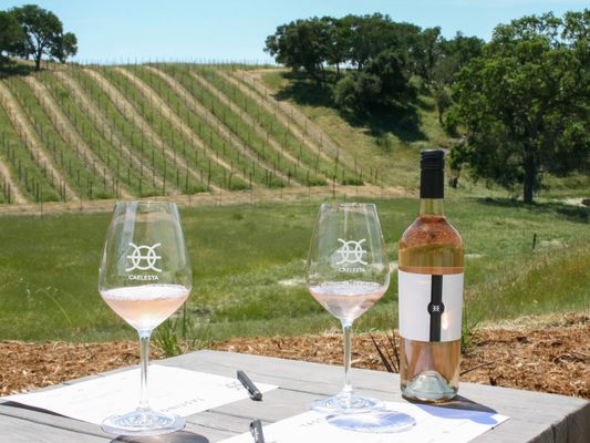 Caelesta Wines, Vineyard & Truffière by null