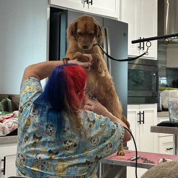 Daneen's In Home Grooming - Pet Groomers Near Me
