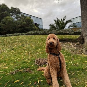 San Francisco Bay Trail on Yelp