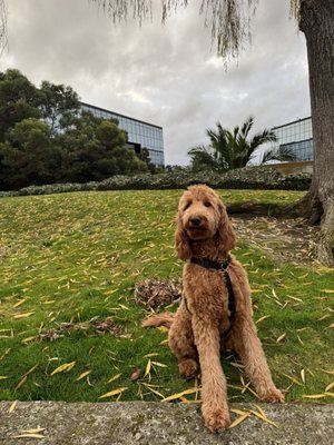 Photo of San Francisco Bay Trail - San Mateo, CA, US. Near Gigi's Cafe