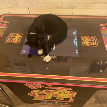 Catpurrccinos - a black and white cat sleeping on top of an arcade machine - Themed Cafes Near Me - Huntington, New York Catpurrccinos - a black and white cat sleeping on top of an arcade machine - Themed Cafes Near Me - Huntington, New York