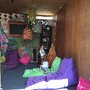 Photo of Teamo Teahouse