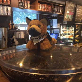 Starbucks - STEVE - Coffee & Tea Near Me - Boynton Beach, Florida Starbucks - STEVE - Coffee & Tea Near Me - Boynton Beach, Florida