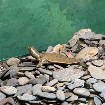 ECHO, Leahy Center for Lake Champlain - Museums Near Me - Burlington, Vermont