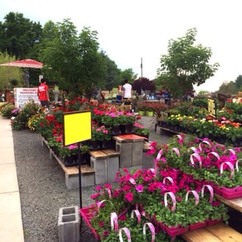 Meadows Farms Nurseries - Manassas - Nurseries & Gardening Near Me - Manassas, Virginia Meadows Farms Nurseries - Manassas - Nurseries & Gardening Near Me - Manassas, Virginia