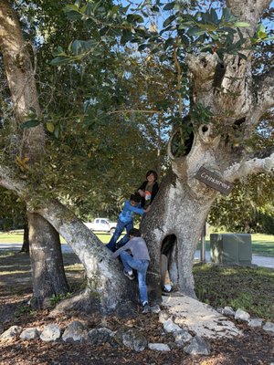 Pine Island Preservation Society