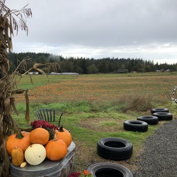 Thomasson Family Farm - Pumpkin Patches Near Me - Enumclaw, Washington Thomasson Family Farm - Pumpkin Patches Near Me - Enumclaw, Washington