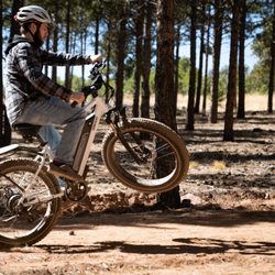Big Bear Bike Tours