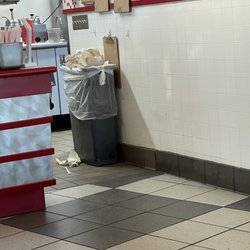 Freddy's Frozen Custard & Steakburgers - Over flowing garbage behind the counter.