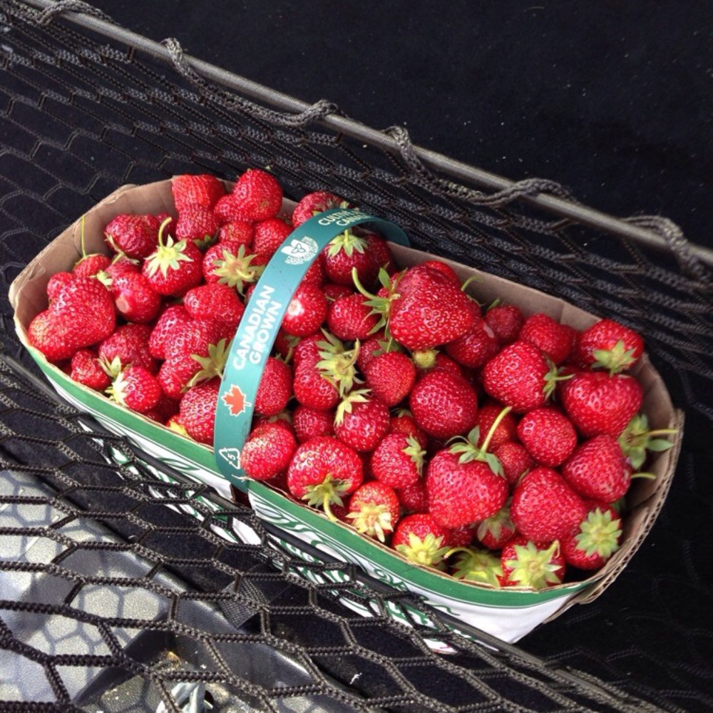 Organics Farm - $17 of fresh-picked organic deliciousness! - Farmers Market Near Me - Markham, Ontario Organics Farm - $17 of fresh-picked organic deliciousness! - Farmers Market Near Me - Markham, Ontario