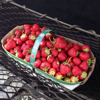 Organics Farm - $17 of fresh-picked organic deliciousness! - Farmers Market Near Me - Markham, Ontario