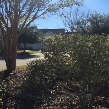 Leaders - Tree Service - Myrtle Beach - Tree Services Near Me - Myrtle Beach, South Carolina Leaders - Tree Service - Myrtle Beach - Tree Services Near Me - Myrtle Beach, South Carolina