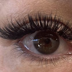 Superb Lashes & Brows