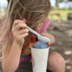 Froberg's Farm - Snow cones were amazing- my fav was mango but the kids loved rainbow