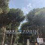 Photo of Camping Mare e Pineta