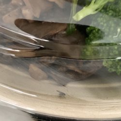 Freshii - These freshest thing in my bowl was the fly crawling around.