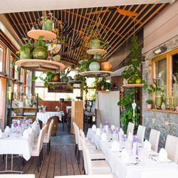 Ochensberger - Die RestoBar DIE GÄRTNEREI kann für bis zu 60 Personen EXKLUSIV gemietet werden - für eine Feier mit ganz besonderem Ambiente...