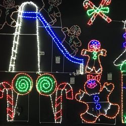 Christmas Trees In Pigeon Forge Yelp